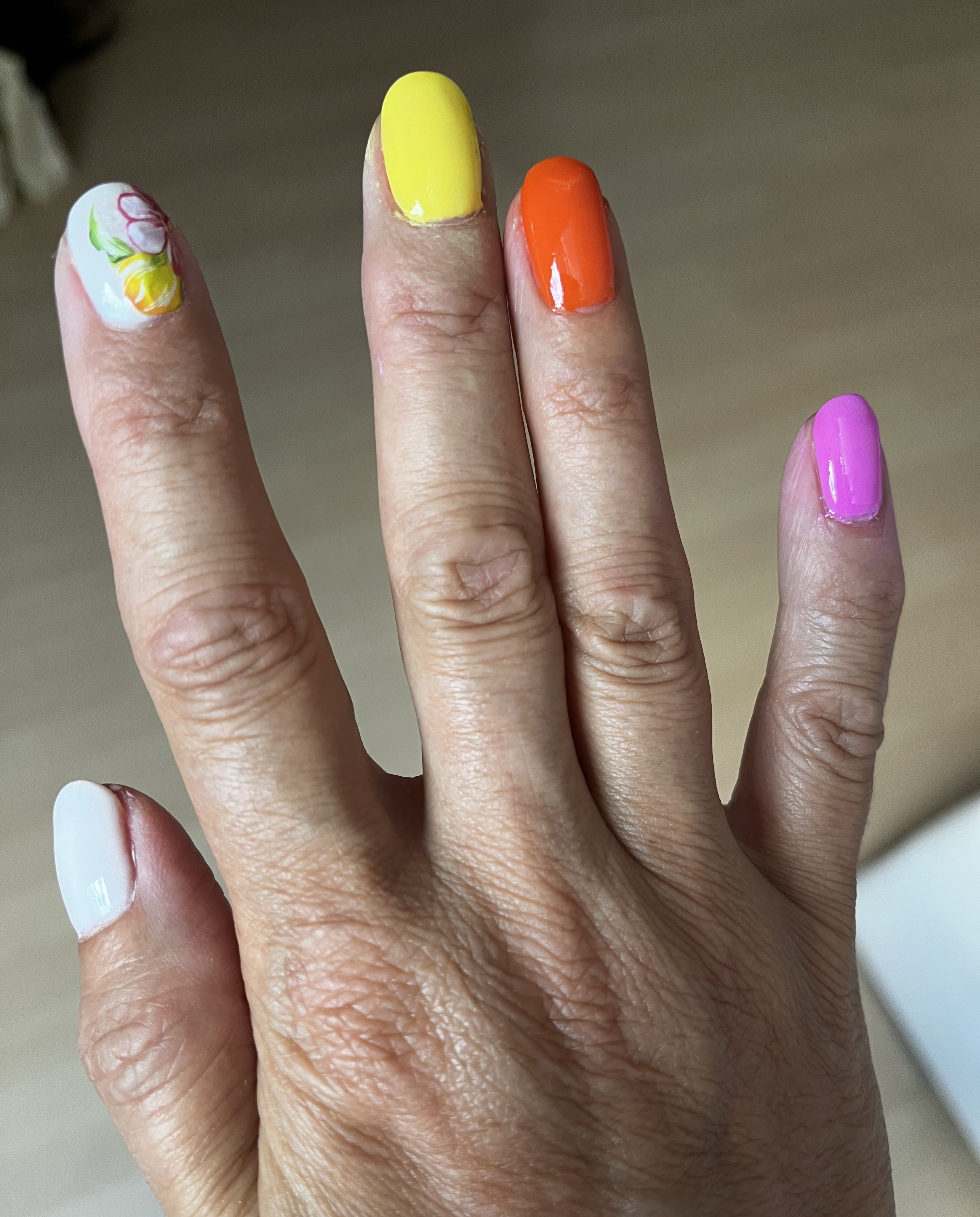 Hana Trávníčková