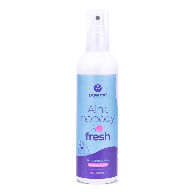 Spray refrescante - Ain't Nobody so fresh