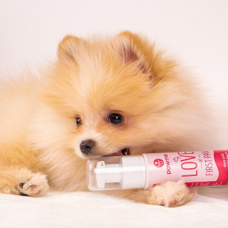 Paw and nose balm - Love at first paw